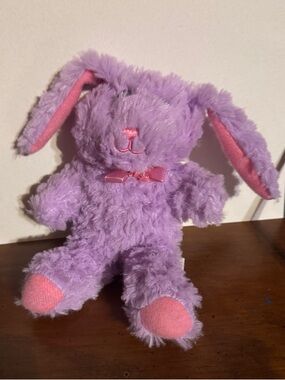 Source Unknown Purple and Pink Plush Bunny Stuffed Animal